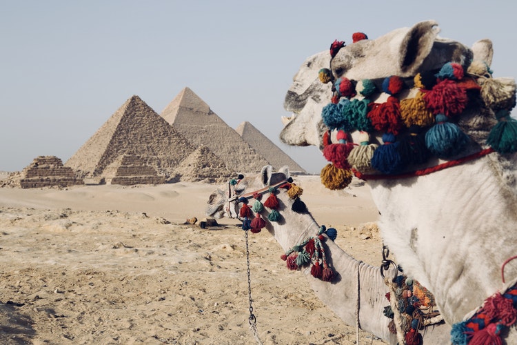 Egyitomban: Tippek és hasznos információk egyiptomi utazáshoz